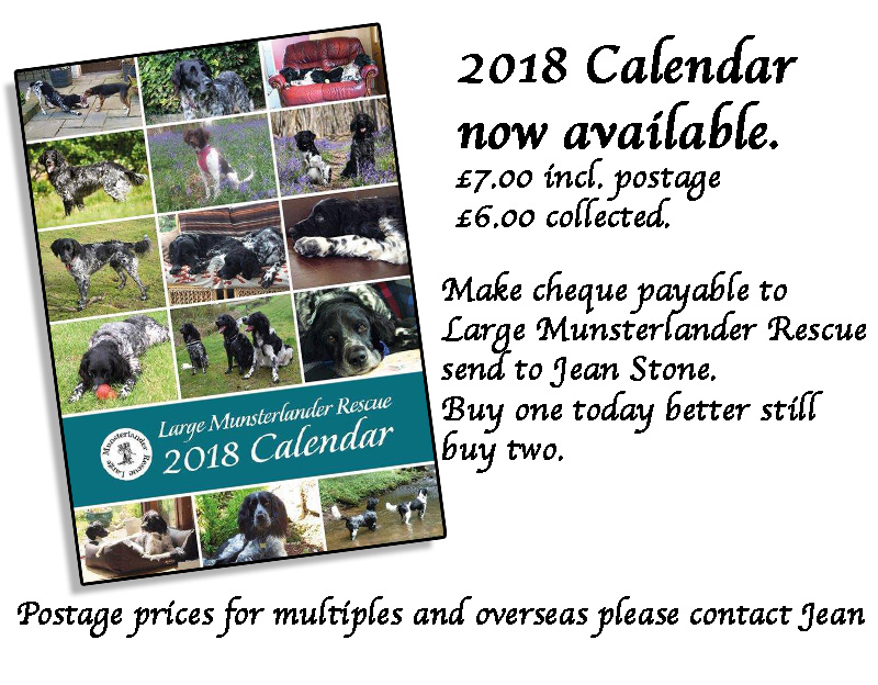 Large Munsterlander Calendar 2018